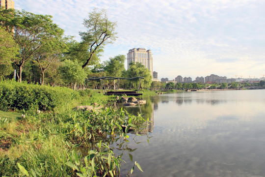 南京江北新区龙池湖边