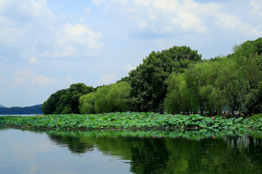 杭州西湖风光