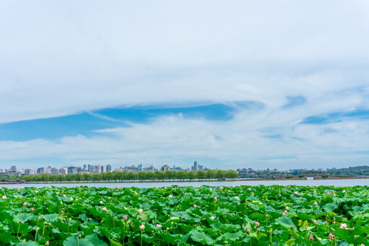 意境西湖美景