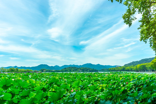 西湖山水装饰画