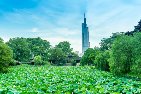 南京地标建筑