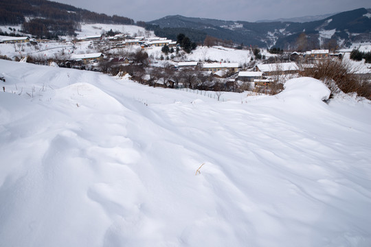 中国雪村