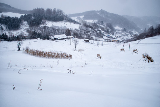 中国雪村