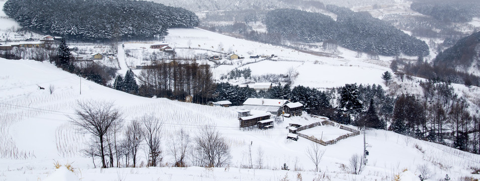 中国雪村