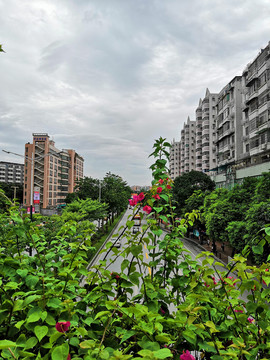 城市道路景观