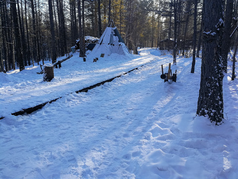 冬季积雪森林