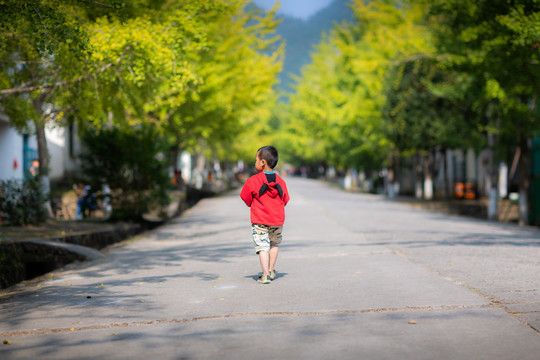 秋天里的小男孩