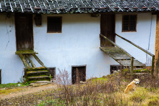 村居