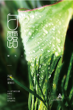 简约创意白露节气海报