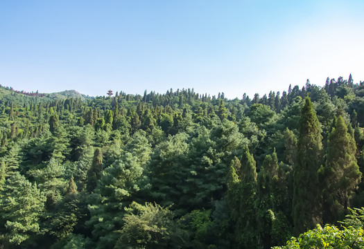 昆明西山树林公园