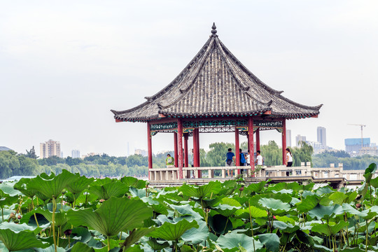 大明湖观景亭