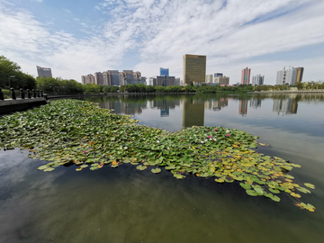 乌鲁木齐市南湖公园