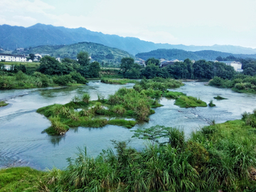 乡村河畔风光