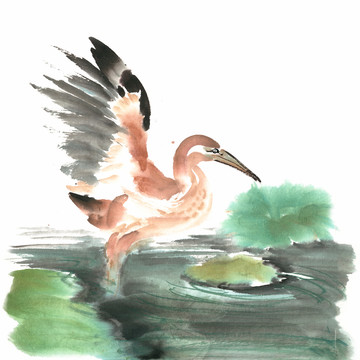 展翅的小鳥