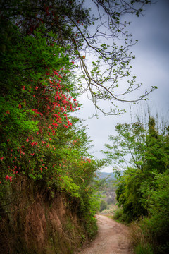 山路