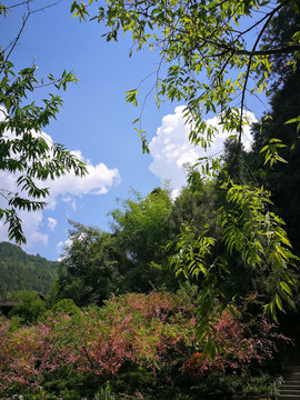 重庆酉阳桃花源