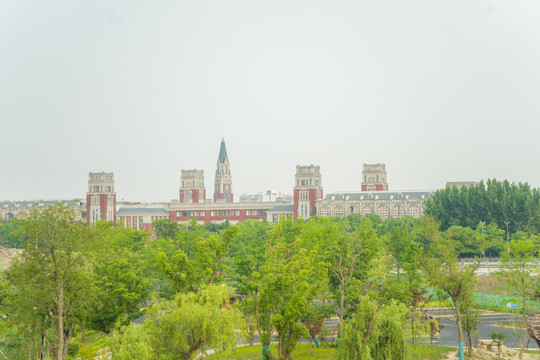 政法大学