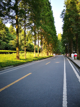 山村公路