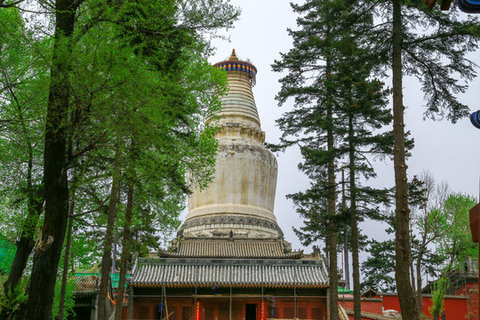 忻州五台山塔院寺白塔