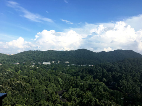 雷峰塔远眺