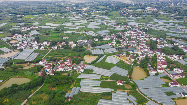 葡萄小鎮(zhèn)