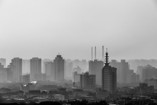 城市建筑黑白风光摄影图