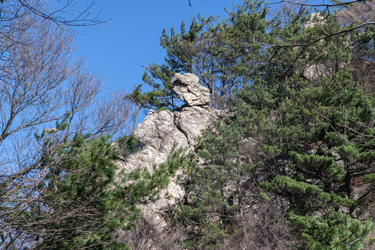 洛阳栾川老君山