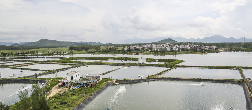 海水养殖