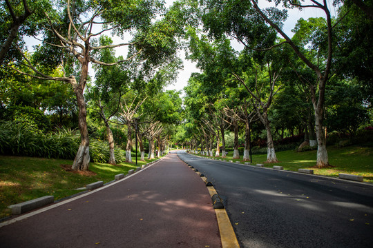 公园跑步道