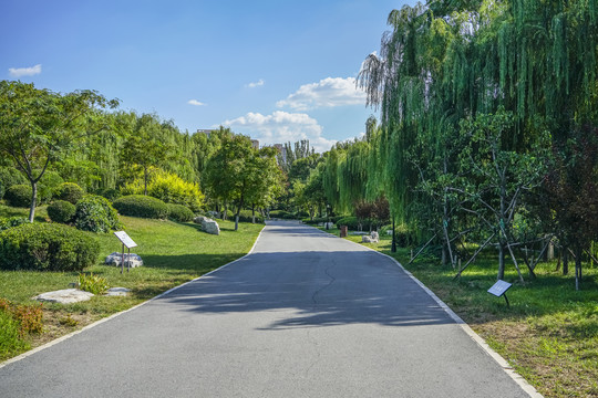 园林小路高清大图