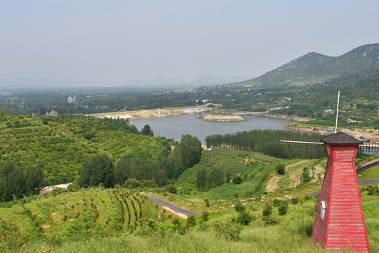 田野