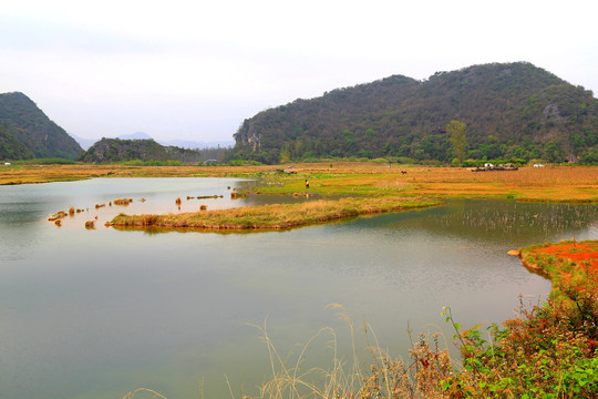 普者黑湿地