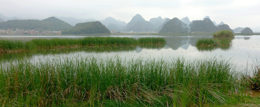 普者黑湿地