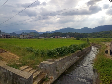 乡村稻田风景