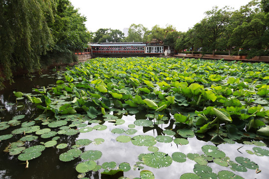 昆明翠湖公园