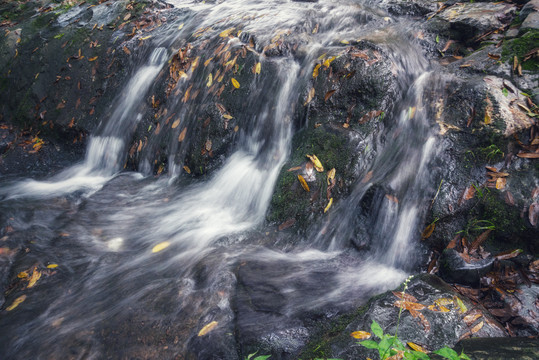 青山绿水