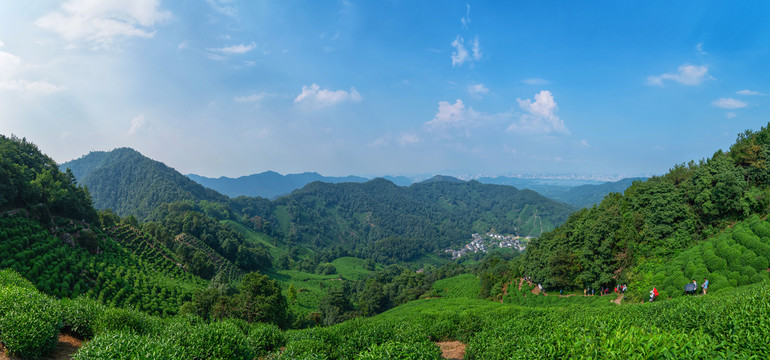 青山绿水