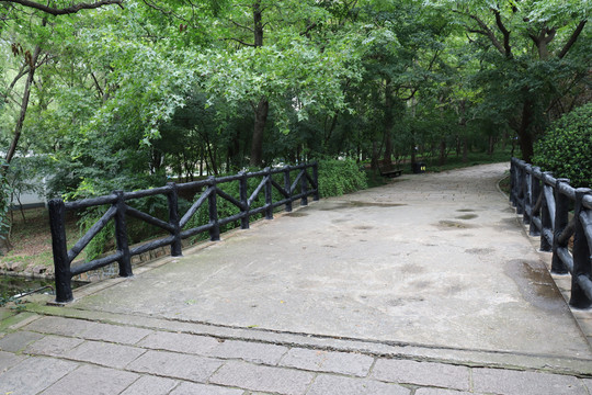 上海共青森林公園