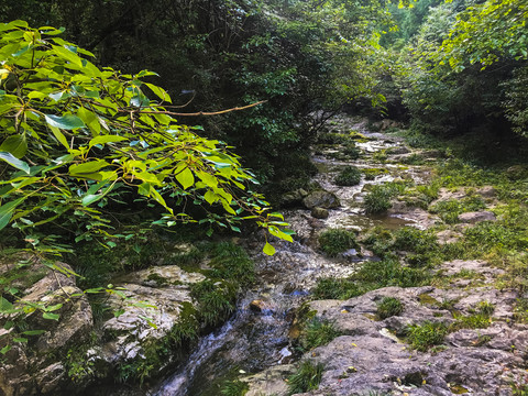 山谷溪流