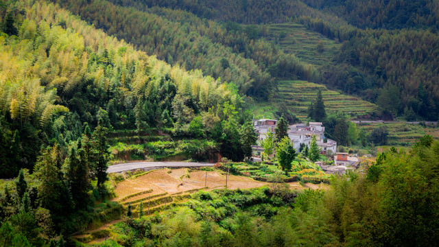 竹林里的山村