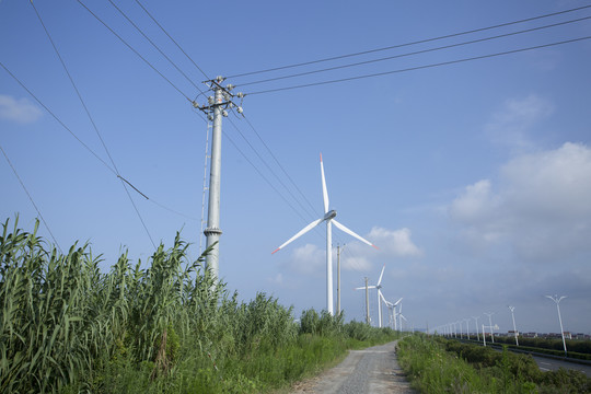 江苏沿海的风力发电机