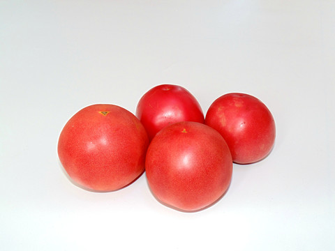 西红柿棚拍