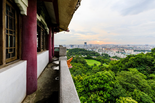 广州城市建筑鸟瞰图