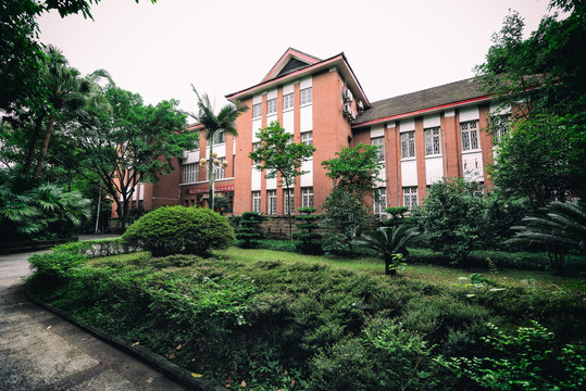 重庆大学法学院