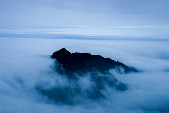 高山云雾