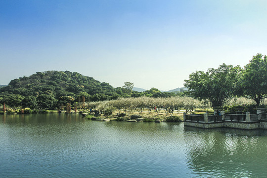 广州香雪公园