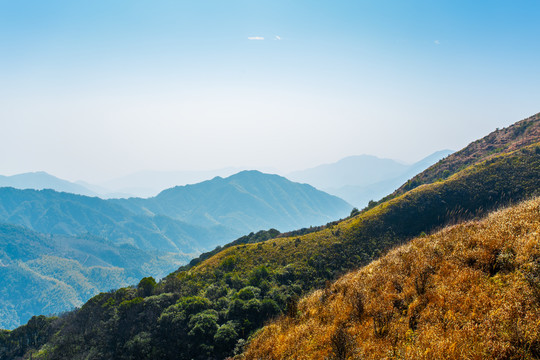 观音崠顶峰