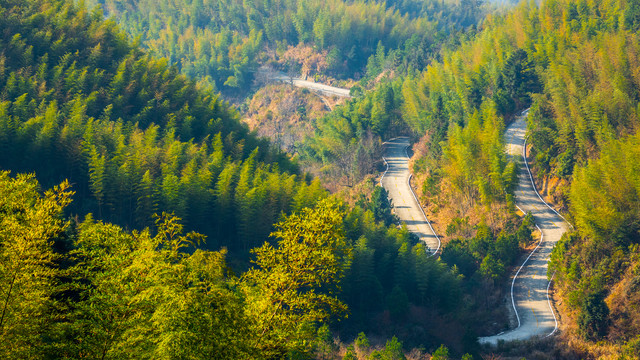 竹林里的山路