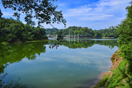 青山绿水