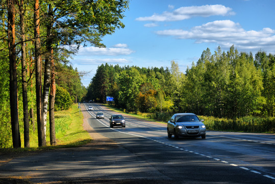 林间公路